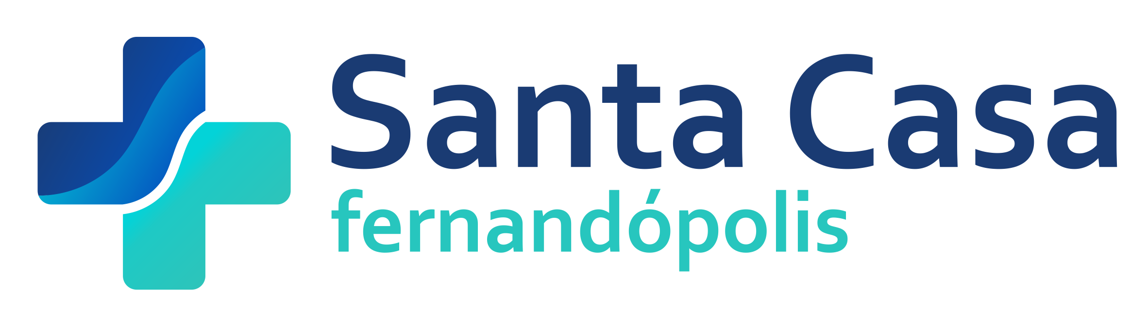 Irmandade da Santa Casa de Fernandópolis — instituição mantenedora